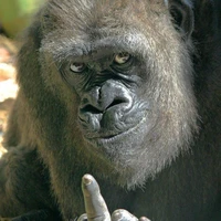 Thằng Nô lệ của tác giả