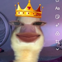Tác giả:)