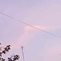 T/G sun lười