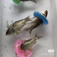All