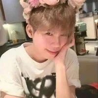 nguyễn hữu đạt phoenix