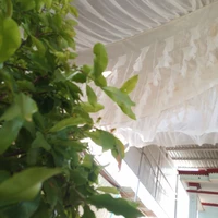 Người theo đạo 