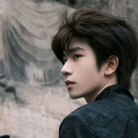 Tống Minh Triệu Vỹ