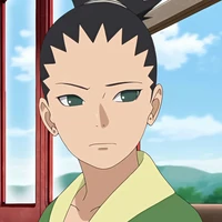 Nara Shikadai