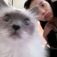 tgia