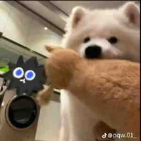 Bạn trên mạng Của T/G>:)