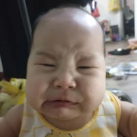 tất cả n/v , đồ vật