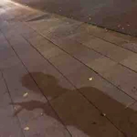 Tác giả bị khùng