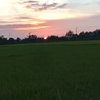 Mẹ Bank