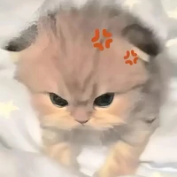 cả hai