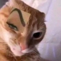 HT víp bờ rồ [六月]