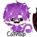 Hiha catnap