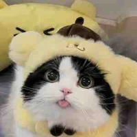 T/g banana cat