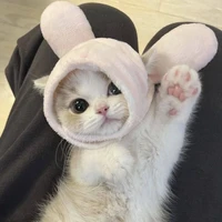 ➩Hùngie 🐼🎀 [Tác Giả]