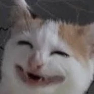 all