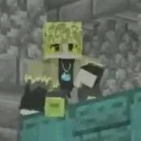 hiha toxic