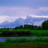 M.H(bạn tg)