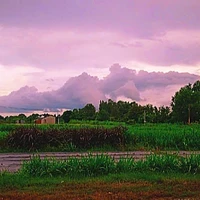 N.N(bạn tg)