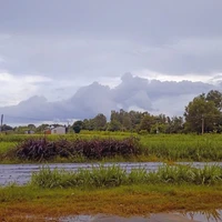 M.N(bạn tg)