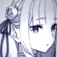 Y/n