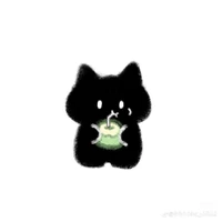 jin( tác giả)
