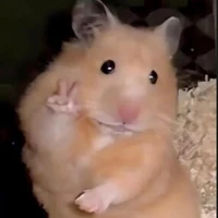 t/g