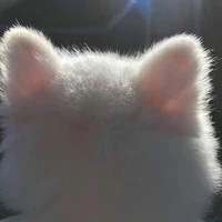 Tác giả đến đâyy