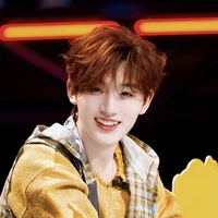 Đinh Trình Hâm🦊