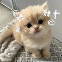 all (trừ ai thì trừ)