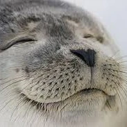 sealover