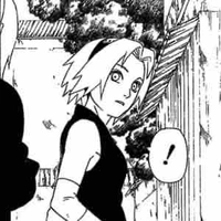 |Haruno Sakura|