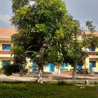 Nhạc chuôg đt / báo thức