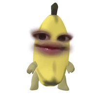 t/g ( nhím 🦔 )