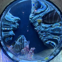 tác giả mê đi thủy cung