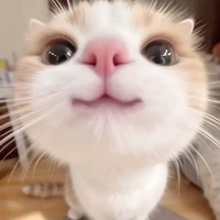 all_trừ ai cần trừ