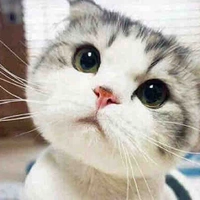 Tác giả đây