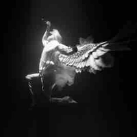 NVP (đa giới tính)