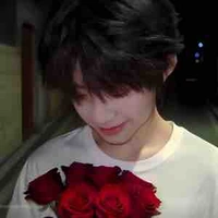 Trần Dịch Hằng 