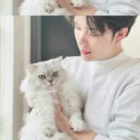 Trần Đăng Dương