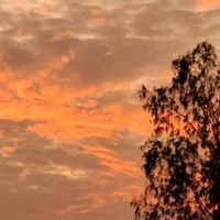 All