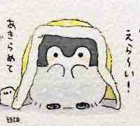 Con chim cụt cánh