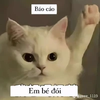 t/g đến từ vũ trụ vô tri 𓍢ִ໋🌷͙֒₊˚*ੈ