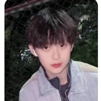 Trần tư hãn