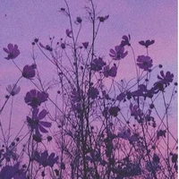 All - trừ những ai cần trừ