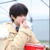 trần dịch hằng_em_