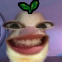 nhỏ t/g