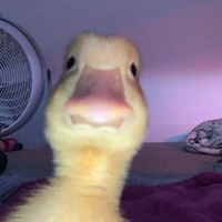 Hệ Thống - Litte