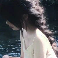 Vũ Kim Anh 