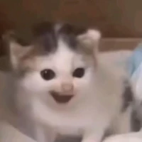 t/g dz hết cứu 😔