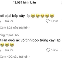 Cây láp